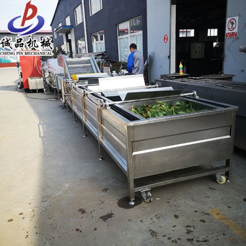 蔬菜水果清洗机流水线 净菜加工成套设备 厂家直销