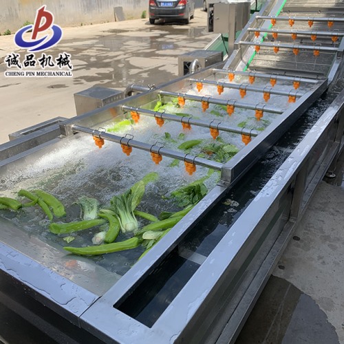 大型不锈钢果蔬气泡清洗机 鱼类多功能节能环保型气泡清洗机
